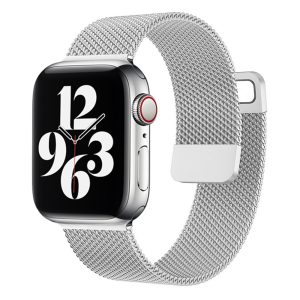 Silver Milanese Loop